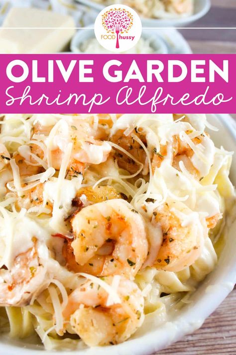 Olive Garden Shrimp Alfredo, Egg Salad Pasta, Pasta Alfredo Receta, Fettucini Alfredo Recipe, Fetuchini Alfredo, Fetuccini Alfredo, Shrimp Alfredo Pasta Recipes, Shrimp Pasta Recipes Easy, Fried Seafood