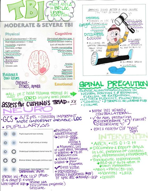 Seizures Nursing Notes, Neurological Disorders Nursing, Neuro Nursing, Pathophysiology Nursing, Nursing School Studying Cheat Sheets, Medical Assistant Student, Medical Notes, Nursing School Essential, Nursing Study Guide