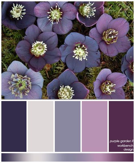 Bedroom Colors Purple, Purple Living Room, Purple Color Palettes, Color Schemes Colour Palettes, Kitchen Colour Schemes, Purple Garden, Grey Color Palette, Grey Color Scheme, Room Color Schemes