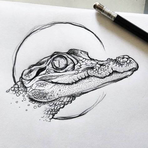 Alligator Tattoo, 27 Tattoo, Sketches Tattoo, Sketches Of People, Constellation Tattoos, Tattoo Art Drawings, Skull Drawing, Animal Sketches, Birds Tattoo