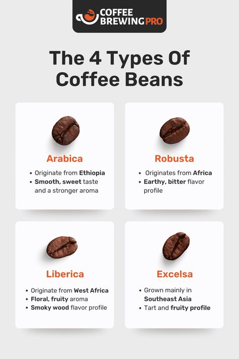 The 4 Different Types Of Coffee Beans Explained Coffee Chart, Types Of Coffee Beans, Coffee Infographic, Types Of Coffee, Coffee Guide, Coffee Facts, Coffee Business, Coffee Drink Recipes, Classic Cocktail