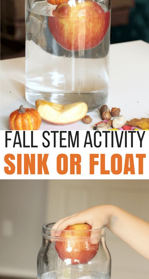 Fall-themed sink or float science experiment, the perfect Fall science activity! Fall Science Experiments, Fall Science Activities, Fall Stem Activities, Toddler Stem, Pre-k Science, Fall Science, Sink Or Float, Fall Preschool Activities, Fall Stem