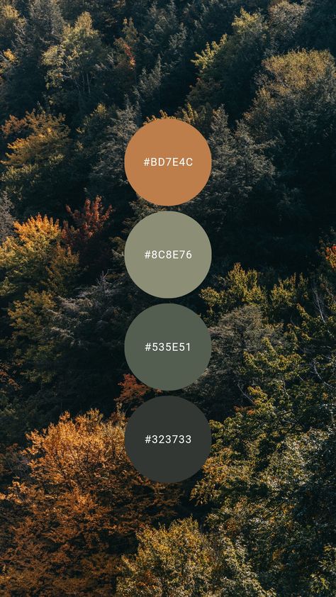 Green Orange Color Palette Bedrooms, Forest Tones Colour Palettes, Forest Colour Pallet, Camping Colour Palette, Forest Color Pallette, Black Green Orange Color Palette, Forest Colour Scheme, Walnut And Green Color Palette, Dark Green Orange Bedroom