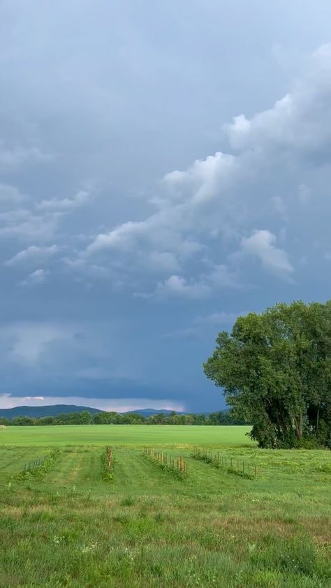 David Herrick on Instagram: "Sunday evening in the hood" David Warner, Sunday Evening, June 19, Country Roads, Road, On Instagram, Quick Saves, Instagram