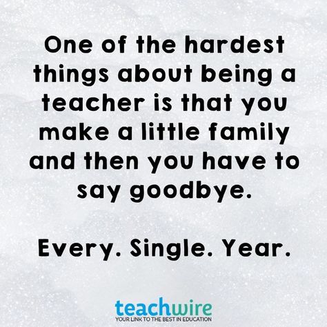 Last Day Of School Quotes For Teachers, Teacher Humor Preschool, Fun Teacher Quotes, Teaching Is Hard Quotes, Teacher Friends Quotes Funny, Teacher Student Quotes, Teacher Guilt Quotes, Funny Teacher Quotes Elementary, Quotes About Teaching