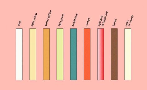 Pee Color Chart: What Your Urine Shade Says About Your Health Green Urine, Orange Pee, Pee Color, Food Coloring Mixing Chart, Cloudy Urine, Food Coloring Chart, Magnesium Foods, Mouth Wrinkles, Methylene Blue