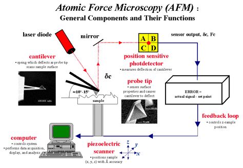 Fig.1: Atomic-Force Microscopy Setup Atomic Force Microscopy, Parts And Function Of Microscope, Intermolecular Forces Chemistry, Microscope Parts, Scanning Electron Microscope, Barbie I, Diode, Atom, Force