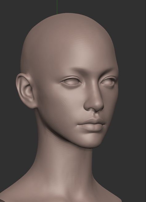 3d Head Reference, Zbrush Sculpting, Face Modeling, 3d Anatomy, Zbrush Models, Skeleton Anatomy, Face Structure, Zbrush Character, Face Anatomy