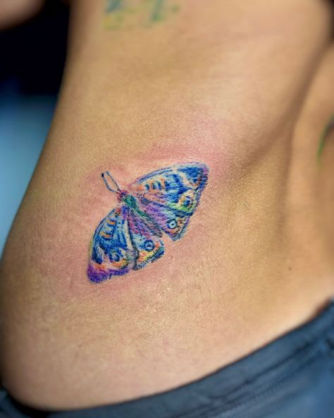 Junonia coenia 🦋 make an appointment in dm . #tattoo #belgradetattoo #colortattoo #mothtattoo #moth #butterflytattoo #watercolortattoo #botanicaltattoo Moth Tattoo With Color, Dm Tattoo, Moth Tattoo, Butterfly Tattoos, Botanical Tattoo, Butterfly Tattoo Designs, Make An Appointment, Butterfly Tattoo, Color Tattoo