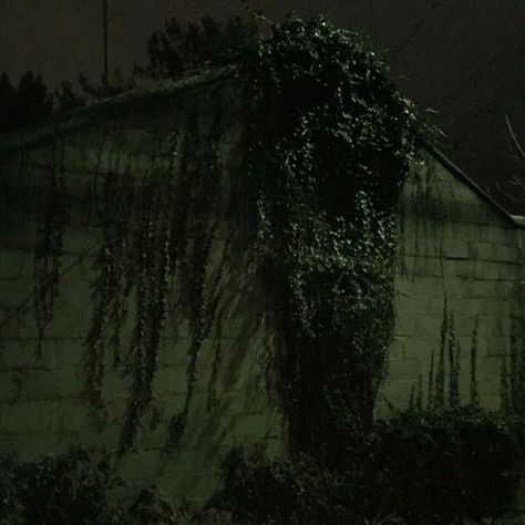 #dark #emo #nighttime #dreaming #darkphotos #grunge #green #vines #lowexposure Dark Green Emo Aesthetic, Dark Green Grunge, Gloomy Green Aesthetic, Green Gloomy Aesthetic, Neon Green Grunge Aesthetic, Green Vines, Green Dark, Lost Boys, Vines