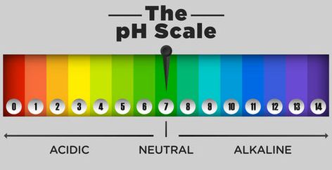 What is PH Balance & Why it’s a Must While Washing your Private Parts – Spruce Benefits Of Alkaline Water, Alkaline Water Bottle, Best Alkaline Water, Drinking Alkaline Water, Alkaline Water Benefits, Ph Water, Feminine Body, Female Hygiene, Intimate Wash