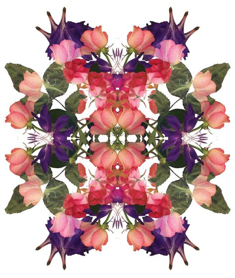 Reflect And Repeat Rorsach Art, Isolation Photography, Kaleidoscopes, Nothing But Flowers, Pressed Flower Art, High School Art, T Art, A Level Art, Plant Illustration