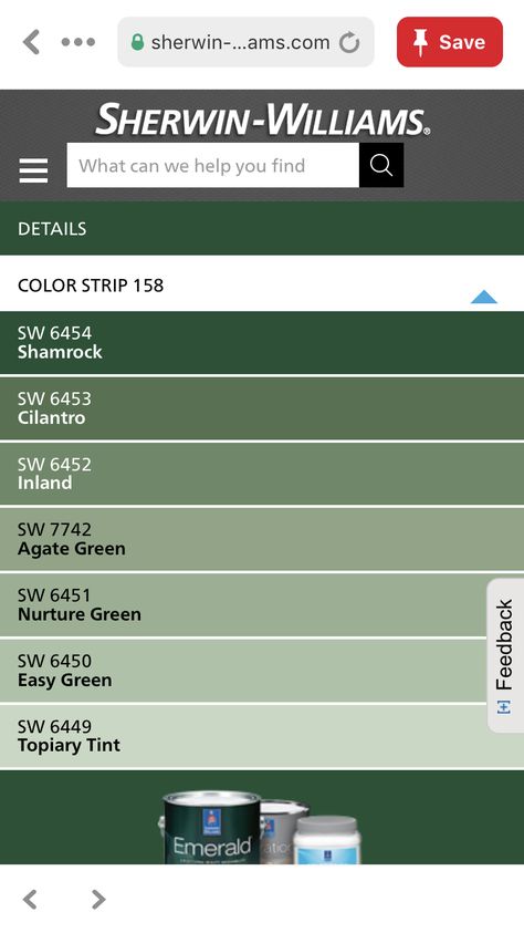 Sherwin Williams Inland Green, Tarrytown Green Color Palette, Sherwin Williams Inland, Sherwin Williams Agate Green, Moss Green Exterior House Paint, Irish Color Palette, Irish Garden Paint Color, Sherwin Williams Vogue Green, Agate Green Sherwin Williams