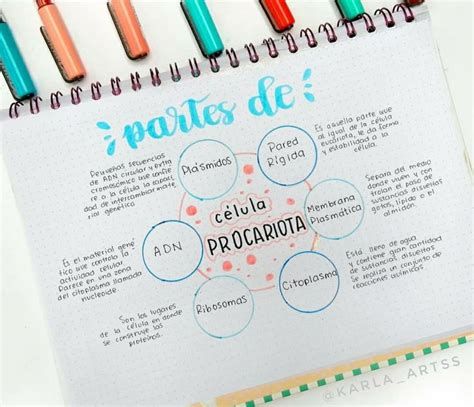 Apuntes Bonitos - Notes | Libreta De Apuntes, Titulos Creative Mind Map, Mind Map Design, Nagellack Trends, Bullet Journal Notes, School Organization Notes, Pretty Notes, Notes Inspiration, Hand Lettering Tutorial, Bullet Journal School