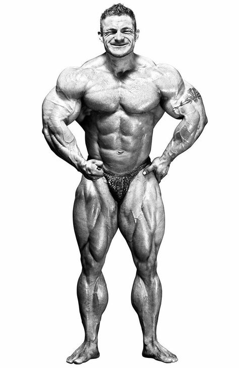 Flex lewis Flex Lewis, Cory Everson, Women's Bodybuilding, Classic Bodybuilding, Men's Bodybuilding, Male Art Reference, Dream Gym, Body Builders, Jay Cutler