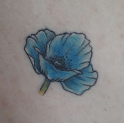 My tattoo of a himalayan blue poppy. Blue Poppy Tattoo, Himalayan Blue Poppy, Poppy Tattoo, Poppies Tattoo, My Tattoo, Blue Poppy, Flower Sketches, Delphinium, Pastel Blue