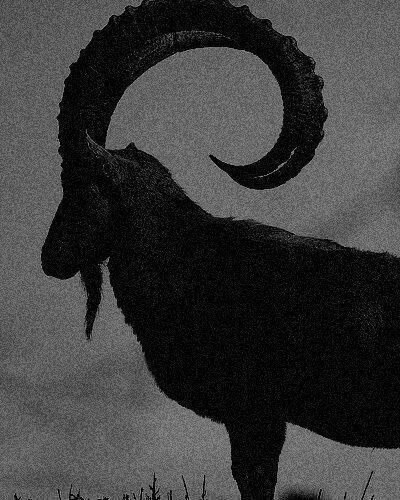 Black Phillip, The Ram, A Goat, Occult Art, Gothic Aesthetic, Witch Aesthetic, An Animal, Horror Art, Dark Fantasy Art