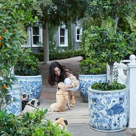 Mary Mcdonald, The Enchanted Home, Blue White Decor, Garden Urns, Enchanted Home, White Planters, Garden Containers, Patio Landscaping, Outdoor Inspirations