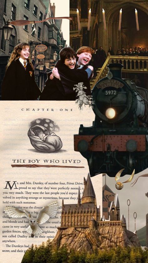 Harry Potter Collage, Aesthetic Hogwarts, Harry Potter Background, Harry Potter Poster, Harry Potter Illustrations, Buku Harry Potter, Harry Potter Images, Images Harry Potter, Hogwarts Aesthetic