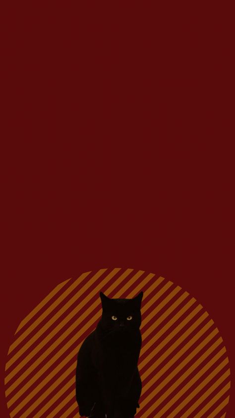 Salem & Halloween Wallpapwr Salem Wallpaper, Salem Halloween, Wallpaper Cat, Cat Wallpaper, Cool Wallpaper, Cat Art, Aesthetic Wallpapers, Black Cat, Iphone Wallpaper