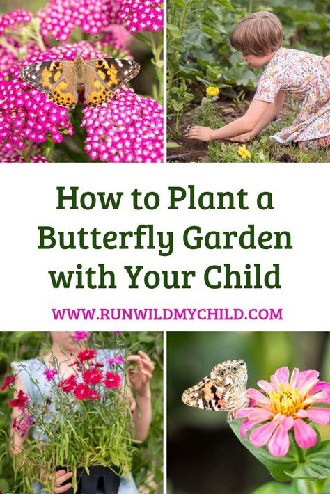 Flowers For Butterflies, Boys Garden, Butterfly Garden Plants, Plants That Attract Butterflies, Sunshine Flowers, Flower Seedlings, Planting For Kids, Garden Activities, List Of Flowers