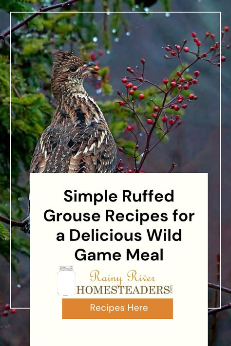 If you’ve ever been lucky enough to bring home a ruffed grouse after a hunt, you know what a treat it can be. The meat is lean, tender, and has a mild, slightly gamey flavor that makes it a fantastic choice for a wide range of recipes. Over the years, I’ve cooked grouse in a variety of ways, and I’ve found that keeping it simple often brings out the best flavors. Here are a few of my favorite recipes for ruffed grouse that anyone can make at home. Ruffed Grouse Recipe, Grouse Breast Recipe, Grouse Recipe, Grouse Recipes, Grouse Hunting, Rainy River, Ruffed Grouse, Mennonite Recipes, Meat Marinade