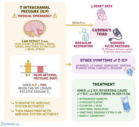 Increased Intracranial Pressure Nursing, Intra Cranial Pressure, Cushing Triad Nursing, Intracranial Regulation Nursing, Icp Nursing Notes, Increased Icp Nursing, Increased Intracranial Pressure, Cushings Triad, Intracranial Pressure Nursing