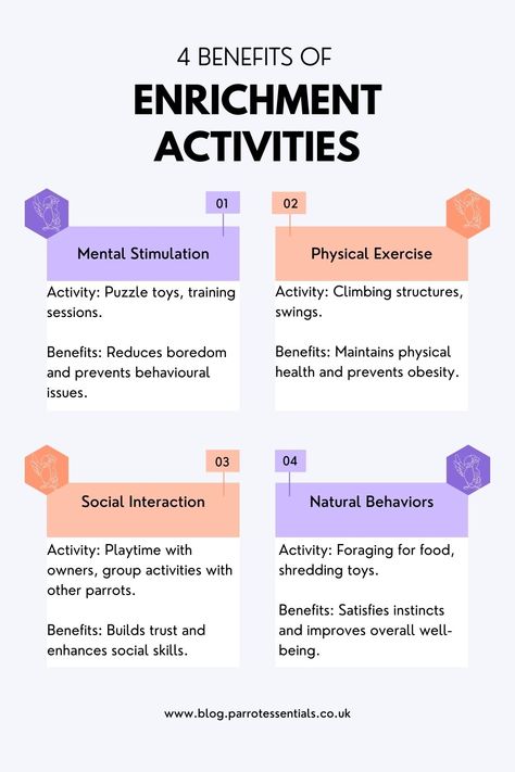 Enhance your parrot's well-being with these enrichment activities. Discover the benefits of mental stimulation, physical exercise, social interaction, and natural behaviours. Keep your feathered friend happy and healthy!   For more details, visit www.blog.parrotessentials.co.uk Parrot Enrichment Ideas, Parrot Activities, Enrichment For Zoo Animals, Parrot Enrichment, Pet Enrichment, Zoo Enrichment, Enrichment Projects, Mental Stimulation, Enrichment Activities