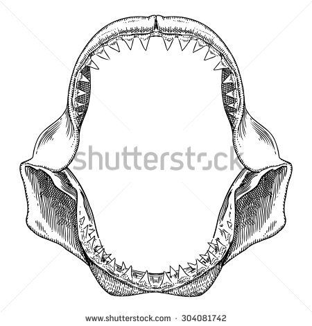 Great White Shark Jaw Tattoo, Shark Jaw Tattoo, Shark Jaws Tattoo, Jaw Tattoo, Bone Drawing, Shark Jaw, Fish Sketch, Cobra Tattoo, Shark Drawing