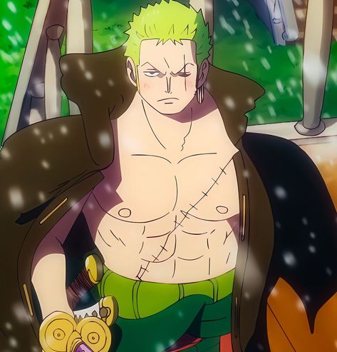 رورونوا زورو, One Piece Gif, 1080p Anime Wallpaper, One Piece Wallpaper Iphone, One Piece Funny, One Peice Anime, Zoro One Piece, One Piece Drawing, One Piece Images