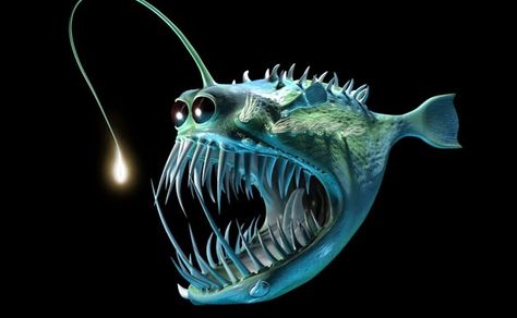 Angler Fish Costume, Angler Fish Art, Angler Fish Tattoo, Underwater Tattoo, Fish Costume, Marianas Trench, Fishing Photography, Deep Sea Creatures, Angler Fish