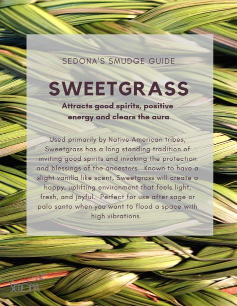 Used primarily by Native American tribes, Sweetgrass has a long standing tradition of inviting good spirits and invoking the protection of the ancestors.  Perfect for use after Palo Santo or Sage when you want to flood a space with high vibrations. Blue Sage Smudging Benefits, Yerba Santa Smudge Benefits, Sweet Grass Smudging, Native American Gardening, Palo Santo Benefits, Sweetgrass Smudge, Incense Herbs, Smudging Prayer, Magickal Herbs