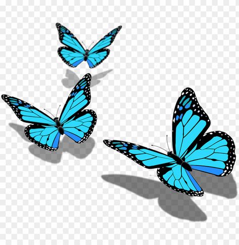 Butterfly Png Editing, Transparent Butterfly Png, Folder Graphic Design, Png Pic, Transparent Icons, Ganpati Photo, Murphy Actor, Eid Wallpaper, Ganpati Photo Hd