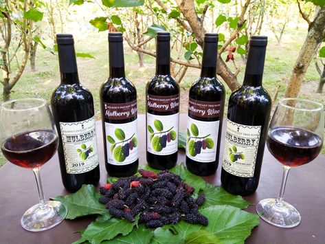 WILSON'S INSTANT TREE BANK'S MULBERRY WINE IN CITY OF SAN FERNANDO, PAMPANGA. PHILIPPINES San Fernando Pampanga, Pampanga Philippines, Wine Tree, Mulberry Wine, Wine Rack, Red Wine, Philippines, Alcoholic Drinks, Wine Bottle