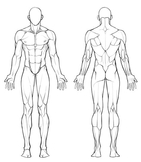 Male Anatomy Reference Front View, Male Body Back Drawing, Muscle Body Reference Drawing, Drawing Men Anatomy, Muscular Man Art Reference, Muscular Male Body Reference, Muscular Body Reference Drawing, Side Profile Body Drawing, Muscular Male Anatomy