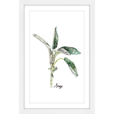 Marmont Hill Herb Sage Framed Painting Print - MH-RACBYL-21-WFP-18 Herb Painting, Kitchen Decor Green, Sage Kitchen, Sage Herb, Herb Prints, Plant Tattoo, Plant Painting, Paper Artwork, Ankle Tattoo