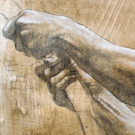 Shane Wolf Shane Wolf, Wolf Paintings, Hands Reference, Sketch Aesthetic, Wolf Painting, Wolf Drawing, Hand Reference, Figure Sketching, Toned Paper