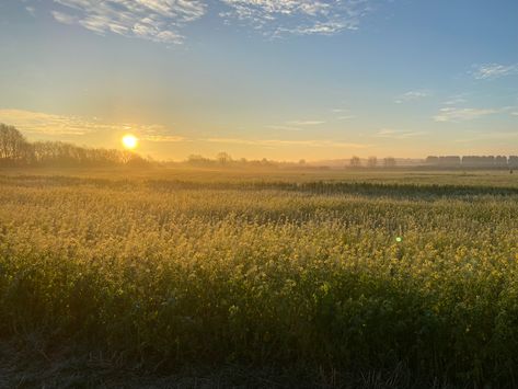 Sunrise over field in 2022, cute aesthetic, yellow plants, fields, views. Aesthetic Sunrise, Pictures Of The Sun, Aesthetic View, Field Wallpaper, Sunset Background, Country Landscaping, Gods Creation, Yellow Aesthetic, Beautiful Photos Of Nature