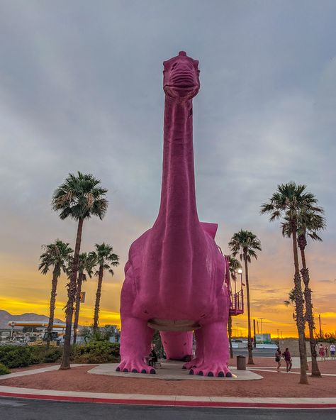 Cabazon Dinosaurs, Joshua Tree, Route 66, Have You Seen, Palm Springs, Park Slide, Design Inspo, Dinosaurs, Springs