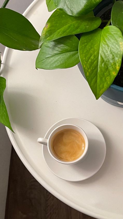 Garden Lighting Diy, Instagram Ideas Post, Plant Aesthetic, Coffee Photography, Aesthetic Coffee, Forest Photography, Good Morning Coffee, Instagram Frame, A Cup Of Coffee