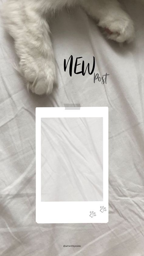 Dog Instagram Story Template, Cat Story Instagram Ideas, Cat Instagram Story, Photography Frame, Cat Graphic Design, Frames Design Graphic, Frames Design, One Word Instagram Captions, Dog Instagram