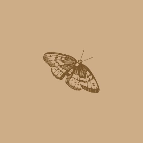 Light Brown Aesthetic Widget, Light Brown Widgets, Cheengu Beige, Butterfly Icon Aesthetic, Light Academia App Icons, Brown Bugs, Fall Icons, Light Grunge, Brown Image