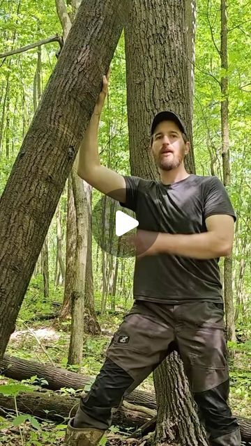 Bushcraft Projects, Bushcraft Essentials, Outdoor Skills, Bushcraft Shelter, Survival Hacks, Bushcraft Skills, Diy Crafts Life Hacks, Survival Techniques, Self Reliance