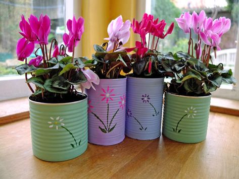 tin cans flower pots Homemade Christmas Presents, Painted Tin Cans, Handmade Flower Pots, Tin Can Flowers, Recycled Tin Cans, Tin Can Art, نباتات منزلية, Recycled Tin, Tin Can Crafts