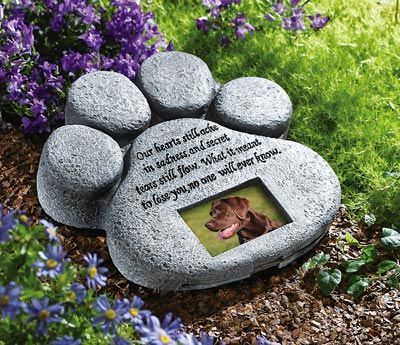 Pet Memorial Garden, Memorial Garden Stones, Pet Memorial Stones, Pet Paw Print, Collections Etc, Memorial Stones, Memorial Garden, Cat Memorial, Pet Paws