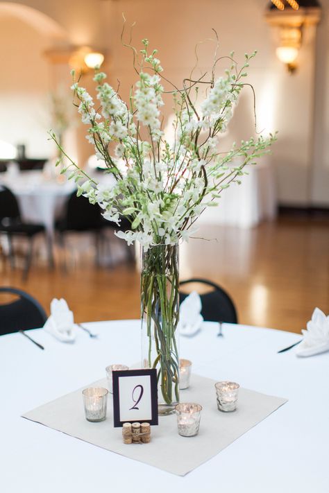 White Delphinium and Branch Wedding Centerpieces Branch Wedding Centerpieces, Delphinium Centerpiece, Branch Centerpiece, White Delphinium, Branch Centerpieces Wedding, Account Executive, Barn Decor, St Louis Missouri, Delphinium