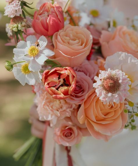 The bees love my bouquets (and I love @catgutsphoto for always capturing them) 🌸🥹🐝 • • • • #brisbaneflorist #thisisbrisbane #flower #brisbaneflowersdelivered #flowerbouquet #blooms #floral #brisbaneevents #flowerlove #brisbaneweddings #weddingflorist #love #brisbanebrides #bridalbouquet #brisbaneflowerdelivery #weddingflowers #freshflowers #flowersofinstagram #brisbaneweddingflorist #brisbanewedding #brisbane #brisbaneflowers #florist #flowers Flowers Delivered, Wedding Florist, Flower Delivery, Fresh Flowers, Brisbane, Bridal Bouquet, Flowers Bouquet, Bouquets, Florist