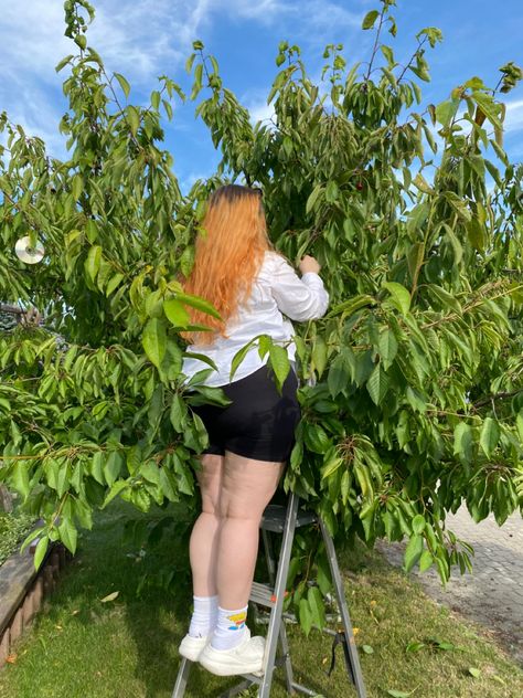 A woman stands atop a ladder in the middle of a lush green plantation. She is wearing black shorts and a white shirt, her hair pulled back into a ponytail. Her feet are firmly planted on the rungs of the ladder as she looks up at the sky above her. In front of her is an enormous tree with its branches reaching out towards the heavens, its leaves rustling in the gentle breeze. The sun casts dappled shadows across her face as she takes in this beautiful scene before her. Plus Size Redhead Aesthetic, Plus Size Red Hair, Plus Size Red Head, Hair Y2k, Redhead Fashion, Redhead Art, What's My Aesthetic, Y2k Hair, Aesthetic Board