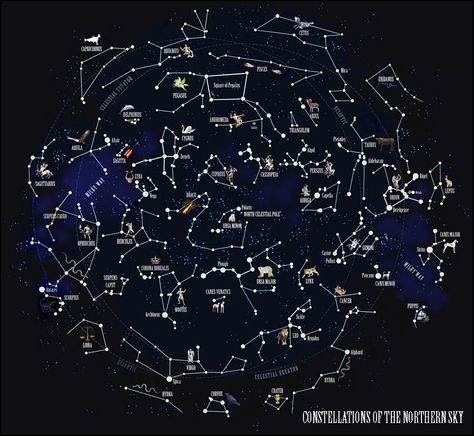 The Constellations of the Northern Hemisphere The Constellations, Mystical Art, Look At The Stars, Sky Art, Landscape Pictures, The Night Sky, Space And Astronomy, Character Aesthetic, New Media