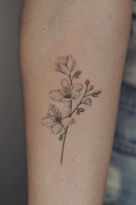 Fresia Flower Tattoo, Fresias Tattoo, Fine Line Magnolia Tattoo, Dainty Cherry Blossom Tattoo, Fine Line Cherry Blossom Tattoo, Fine Line Orchid Tattoo, Flower Tattoo Fine Line, Hawthorne Flower Tattoo, Aesthetic Tattoo Ideas